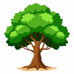 big tree. Oaktree vector on a white background.