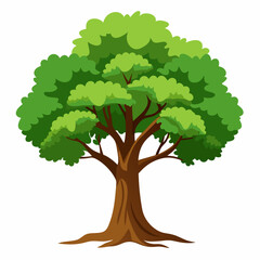 big tree. Oaktree vector on a white background.