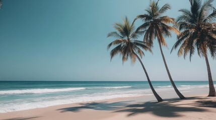 Obraz premium Three palm trees on a white sandy beach with turquoise ocean water under a clear blue sky.