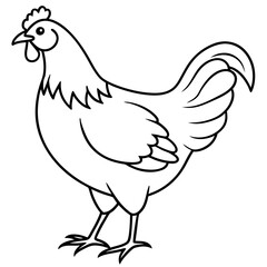 illustration of a chicken