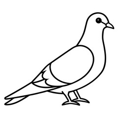 dove of peace