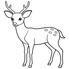 deer illustration