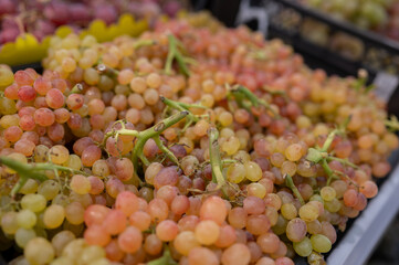 A pile of pink Kish-Mish grapes on the store counter. Agriculture, eco-friendly products