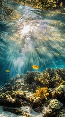 Obraz premium Underwater scene with sunbeams shining through the water and illuminating the coral reef and fish.
