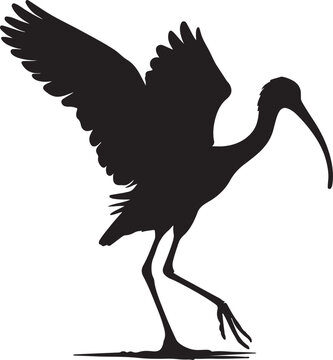 recommend clip art: american white ibis bird silhouette vector art illustration