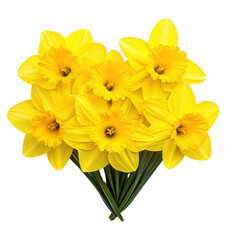 Fototapeta premium Bright yellow daffodil bouquet, 