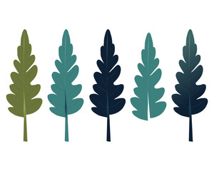 Set of fir trees, vector.