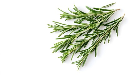 Fototapeta premium Rosemary isolated on white background. 