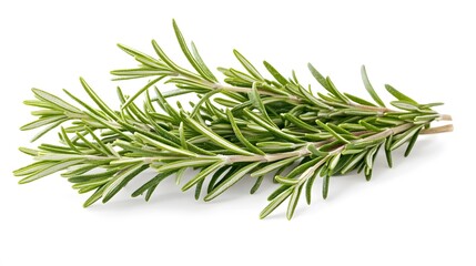 Fototapeta premium Rosemary isolated on white background. 