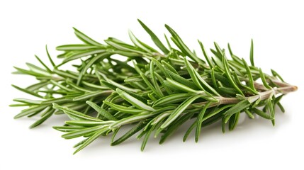 Fototapeta premium Rosemary isolated on white background. 