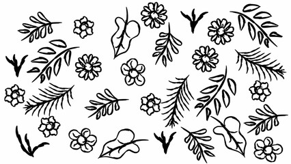 seamless floral pattern monochrome flowers vector illustration 