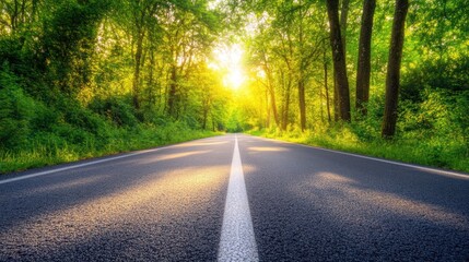 Obraz premium A straight asphalt road lined with trees leads toward a bright sunset.