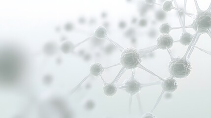 White Spherical Cells Connected by Thin Filaments in a Network