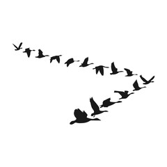 Illustration of a Flock of Birds Flying Silhouette