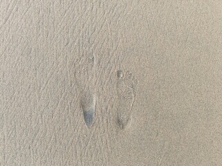 The Allure of Tropical Beaches.Paradise Found in Coastal Landscapes.Summer closeup sunset sea sky landscape.Colorful ocean beach sunrise.Beautiful beach reflections calm waves, soft sandy beach.