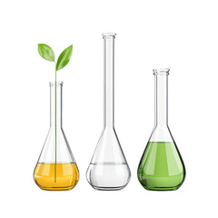 Lab beakers with green plant, white background