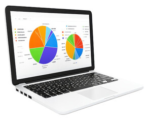 Laptop displaying colorful data charts