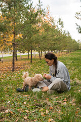 A young Asian woman sits on the grass and feeds her toy poodle. Autumn landscape.