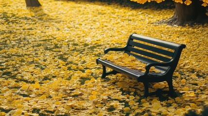 Lonely Bench in park with Yellow beautiful leaves of the Ginkgo tree in autumn season,Detail of the yellow leaves,Late autumn of Japan,space for text.