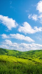 Fototapeta premium a vast, lush green landscape under a bright blue sky with fluffy white clouds. Generative Ai