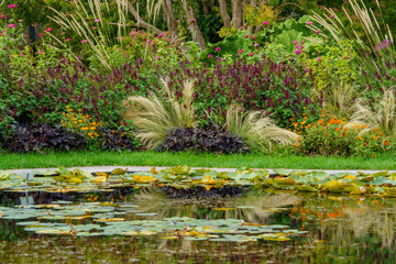 Atmospheric perennial meadow with grasses and perennials in bright autumn colours. In the foreground a water lily pond