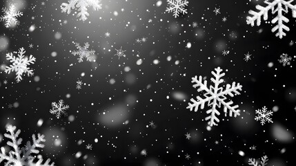 Snow. Realistic snow overlay background. Snowfall, snowflakes in different shapes and forms