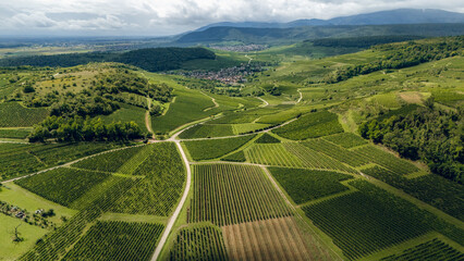 Hilly landscape of vineyards and small towns in the wine region of Alsace, France, aerial shot