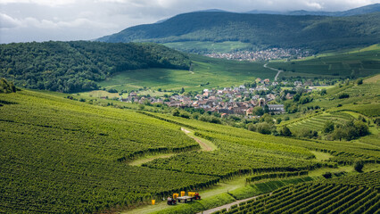 Hilly landscape of vineyards and small towns in the wine region of Alsace, France, aerial shot