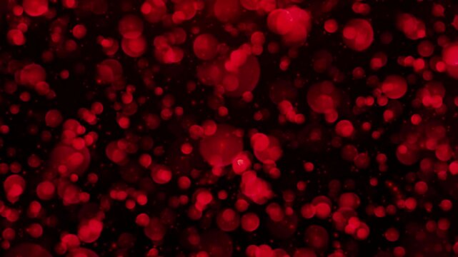 Abstract red bokeh lights on black background.