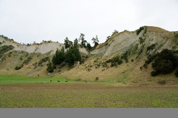 Obraz premium New Zealand’s White Cliffs Landscape