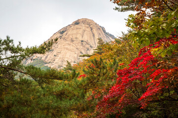 북한산의 가을