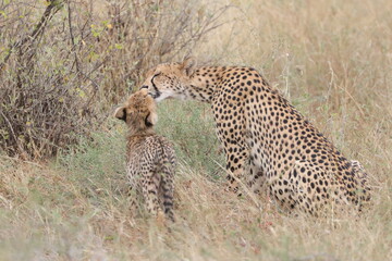 Mother and Child