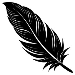 Fototapeta premium feather isolated on white
