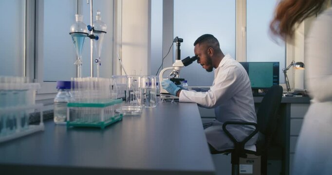 Genetic tests are conducted in medical laboratory. African American microbiologist analyzes samples under microscope. Female scientist in white coat brings test tubes with samples. Medical laboratory.
