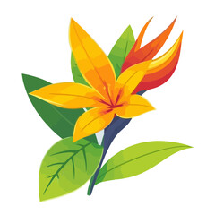 flower isolated on white background