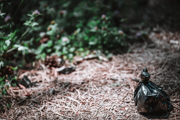 Bagged dog poop left on the side of a hiking trail. 