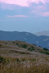 Reeds and red-tinged sky welcoming autumn