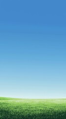 Fototapeta premium Green field and blue sky