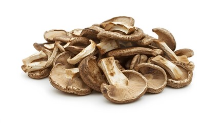 Image of raw sepia isolated on clear white background. 