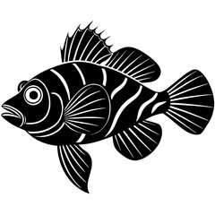 black and white fish
