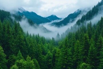 Mystical Fog Over Serene Mountains. Generative AI