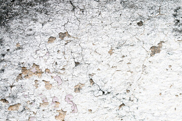 Light Gray Stucco Wall Texture. Abstract Background