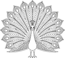 mandala drawing of a peacock with a pattern of a peacock for coloring.