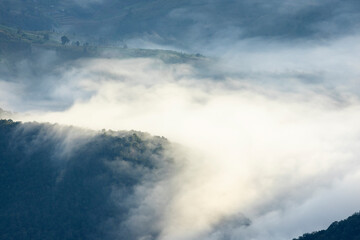 Landscape of Morning Mist with Mountain Layer. mountain ridge and clouds in rural jungle bush forest