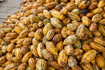 Cocoa beans and cocoa pod on a wooden surface.