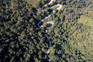 Aerial view of road in beautiful green forest at sunset in spring. Colorful landscape