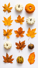 Obraz premium autumn leaves and pumpkins on white background flatlay