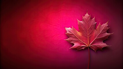 Abstract background of reflected maple leaf in red magenta color