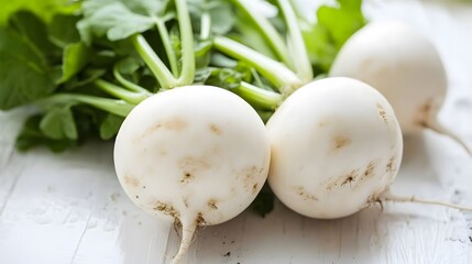 Fresh white round turnip radish on white background. 