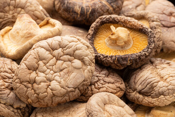 dried shiitake mushrooms.